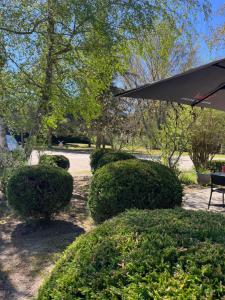 Hotels Le Moulin de Barette - Proche Le Puy-en-Velay : photos des chambres