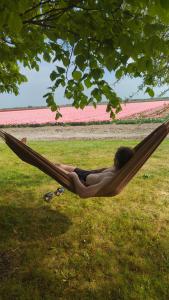 empty spot on grass Camping The Tulip no beds