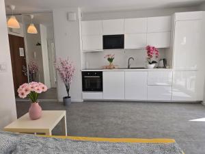 Apartament C10 z ogródkiem free PARKING