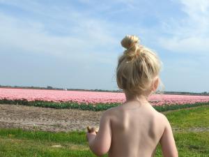 empty spot on grass Camping The Tulip no beds