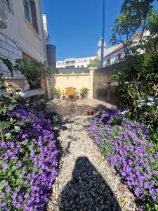 Appartements Studio Drancy avec Jardin 45 m2 : photos des chambres