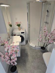 Apartament C10 z ogródkiem