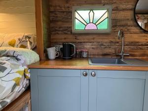 Bowhayes Farm - Camping & Glamping - Shepherds Hut Pippin