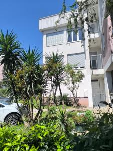 Fun and spacious apartment