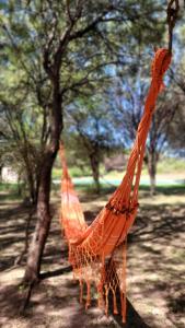 Complejo Volcanes de la Puna