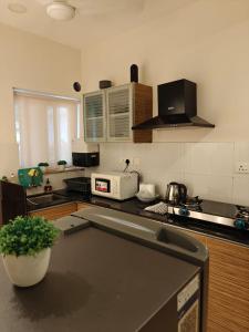 Golden Bird Heritage