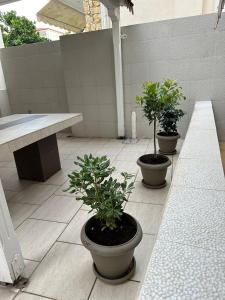 Studio Green Patio