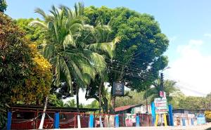 Allalu Camping Corcovado