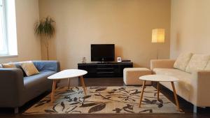 Family House in Spa Town Podebrady with Garden