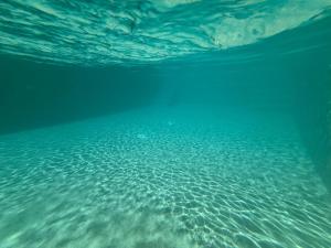 Il San Carlo - Paradiso