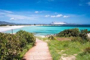 Orsa Maggiore Home img22