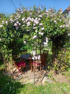 Aux quatre coins du monde