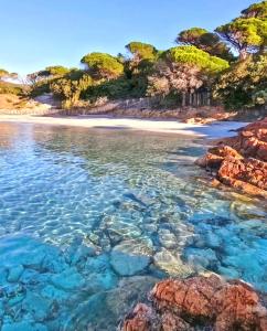 Villas VILLA LE CORAIL ROUGE CORSE : photos des chambres