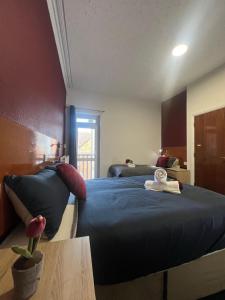 Cozy one bedroom flat sleeps 5 Skegness F6