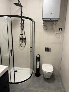 ICE KING Apartament