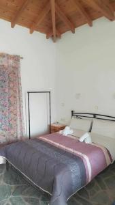 Anna Daniil Oasis Studios Skala Kallonis