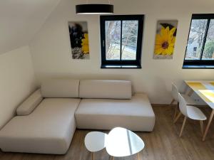 Apartmány U Buku