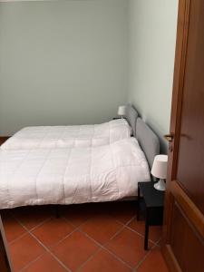 La casa del Geko rosa