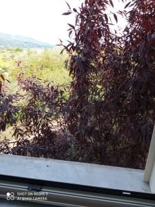 Belvedere di Caiazzo