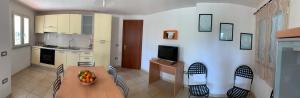 Laurus img10