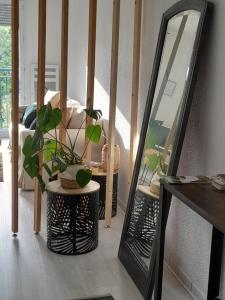 Appartements Perigueux T2 proche du quartier historique : photos des chambres