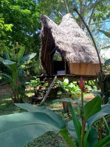 Jungle Cabin - Satori