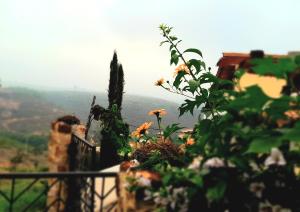 Cabaña Umpalita para 4 cuatro personas