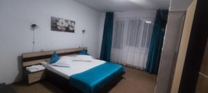 Pensiunea Sorina Casa Alba