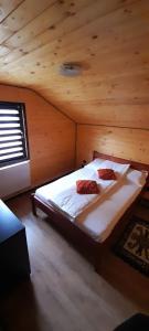 Cabana Ianis