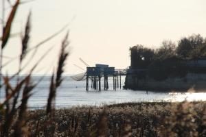 Appartements Maison Guy-Nadette : photos des chambres