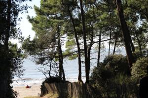 Appartements Maison Guy-Nadette : photos des chambres