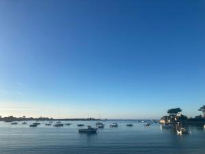 Appartements Un cocon en bord de mer : photos des chambres