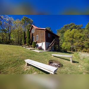 Coyote - by The Chalets