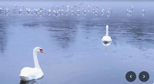 Accomondation Unterkunft Dreizimmerwohnung