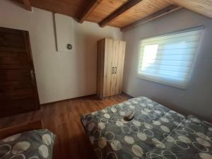 Apartment Beautiful view in Piva