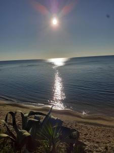 The Oaks Outdoor Living