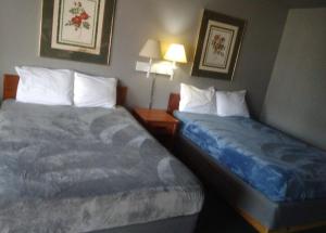 King Beds Hotel Studio 136