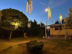 Büyük aileler ve arkadaş grupları için bahçeli ev