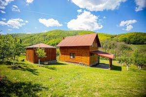 Casa de Vacanta Hanes