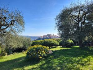 Villas Parenthese provencale avec 3 suites, piscine, calme : photos des chambres
