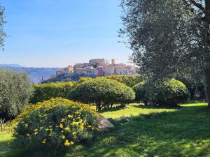 Villas Parenthese provencale avec 3 suites, piscine, calme : photos des chambres