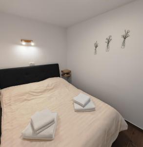 Stars Apartments in nature