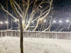 WoodLand Tskhvarichamia Private Cottage in Forest , 25 min from Tbilisi, Easy Access
