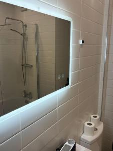 Stylish flat near city centre