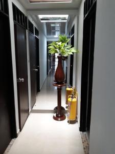 Hotel plaza centro la 16