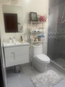 Cozy furnished apartment in San Cristóbal