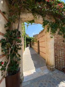 Maisons de vacances Villa Jasmin vue mer : photos des chambres