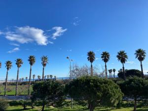 Maisons de vacances Villa Jasmin vue mer : photos des chambres