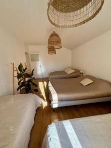 Appartements Maison a avec jardin privatif dans domaine des Crozes : photos des chambres