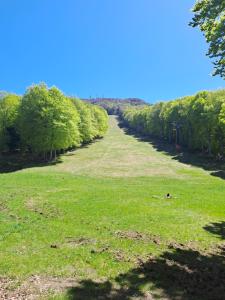 La piazzetta della frutta